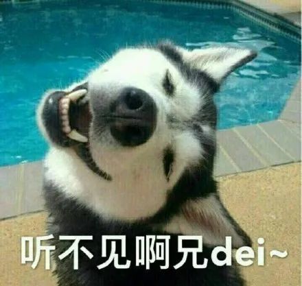 二哈 搞笑图片 斗图表情包_腾讯新闻