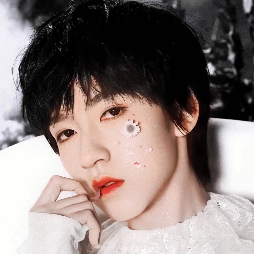 爱豆头像|tnt时代少年团 贺峻霖