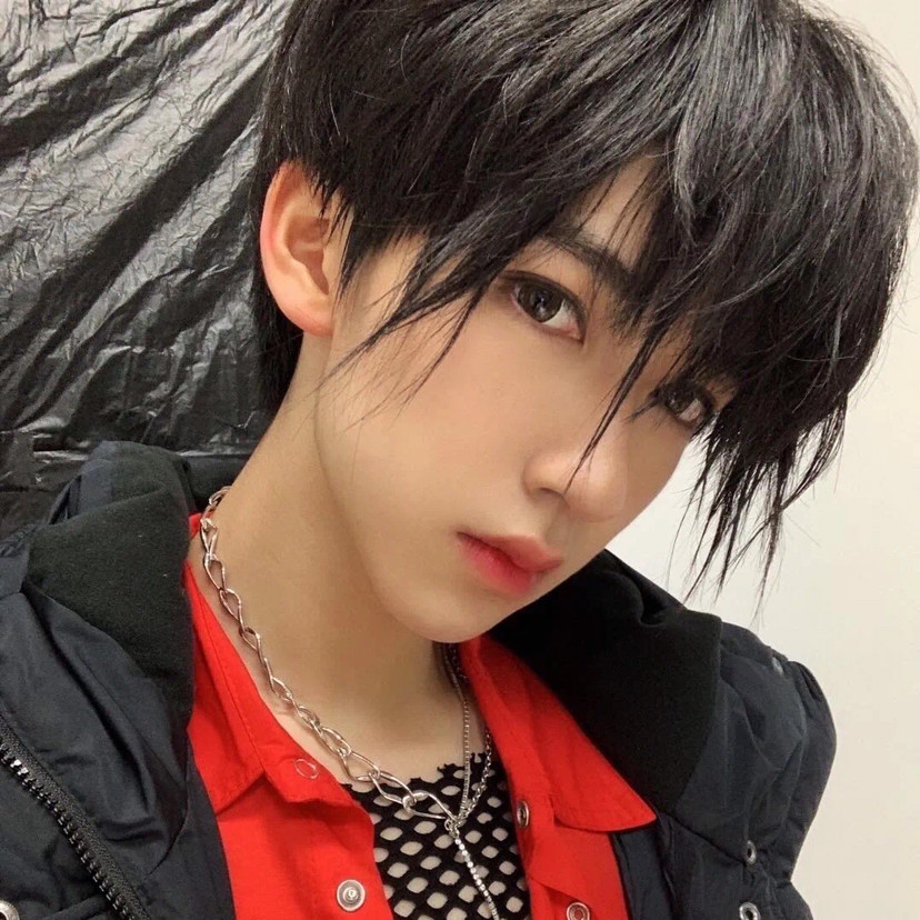 爱豆头像|tnt时代少年团 贺峻霖