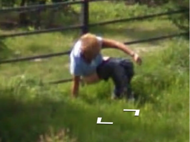 谷歌地图发现某人在荷兰乡道拉屎分享图片引发网友讨论