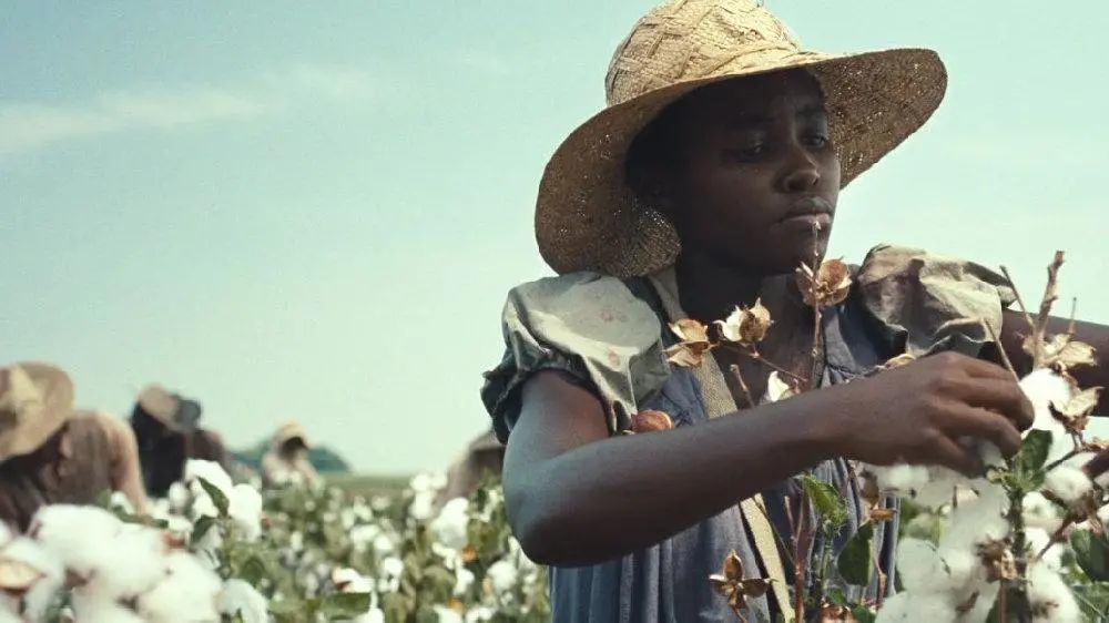 以己度人美国黑奴与其棉花种植史看美国如何强迫黑人种植棉花