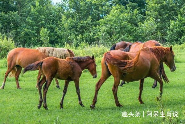 2021年,財神眷顧,越努力越幸運的生肖,貴人助力,鹹魚翻身