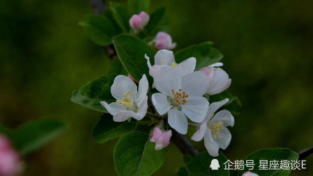 3月29日星座运势 才思敏捷 事事顺心的四大星座 腾讯新闻