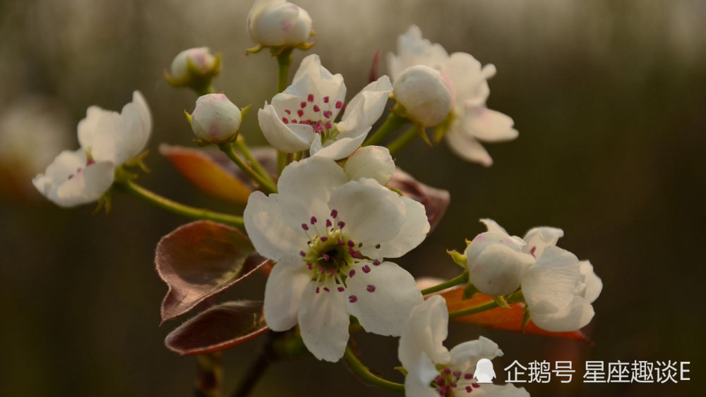 3月29日 4月4日星座运势 白羊充满斗志 天秤贵人相助 摩羯当机立断 腾讯新闻