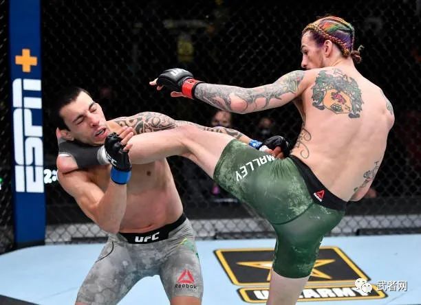 纳干诺第二局ko米欧奇夺得ufc重量级冠军_腾讯新闻