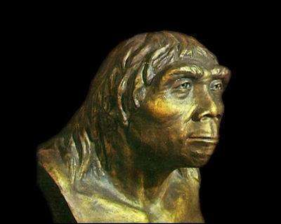 北京猿人简称"北京人",其化石最早于1920 年出土于北京西南周口店龙骨