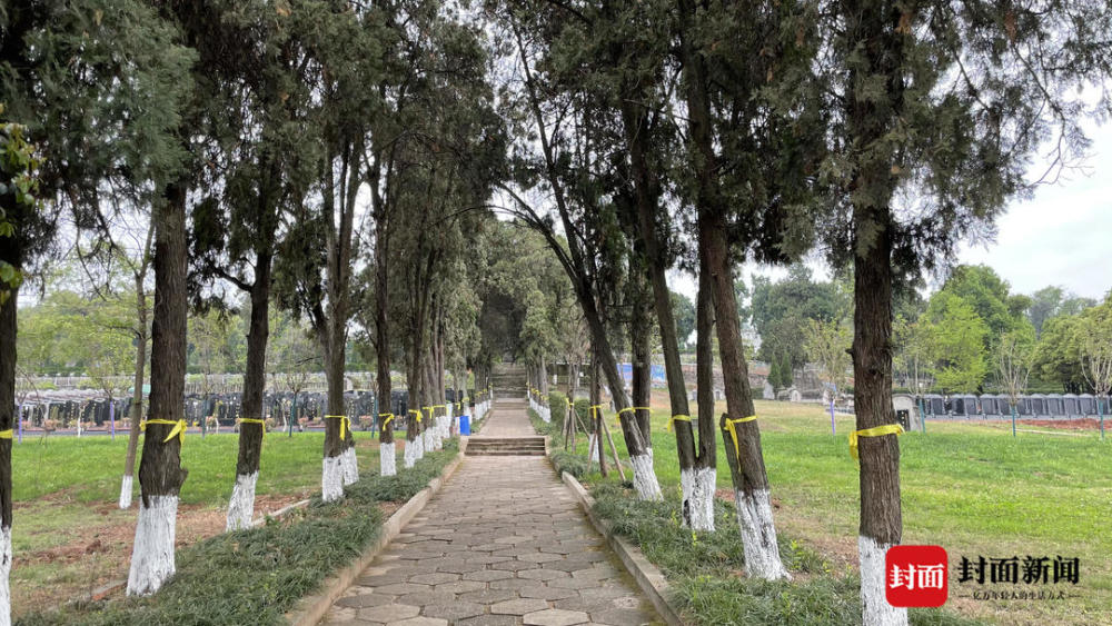 清明未到 祭扫高峰先至磨盘山公墓 单日祭扫人数超1.2万