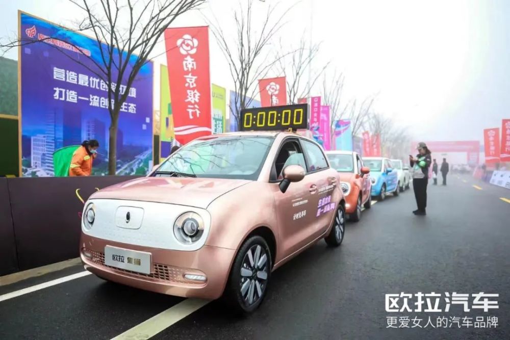 在南京樱花盛开的季节 我们与欧拉好猫同行