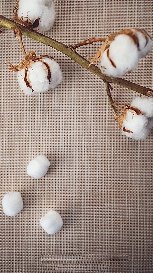 棉花壁纸支持祖国支持新疆棉花