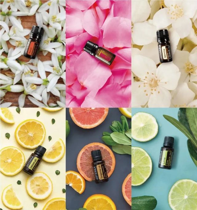 全球知名精油品牌dōterra多特瑞将出席首届中国国际消费品博览会