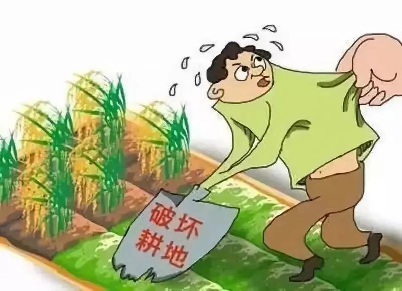 耕地保护今年这样做
