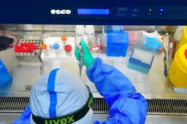 PCR实验室新冠核酸检测操作注意事项