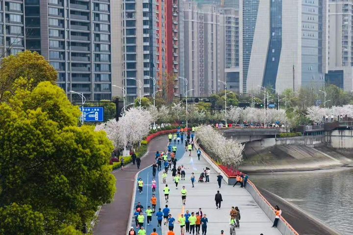 春暖花开时节,在杭州高新区(滨江)闻涛路"最美跑道"沿线,3000多株樱花