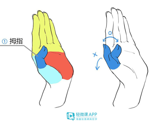 如何繪製手部?漫畫手的畫法教學!|漫畫|教學|手掌