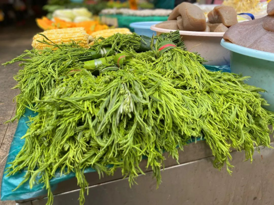 市場上,各種野花野菜琳琅滿目,色彩斑斕,白色的白花,綠色的苦藤花