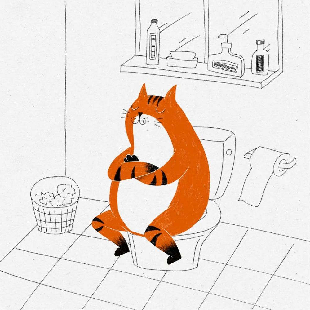 马桶上大小两个冲水按钮,原来这些年都按错了