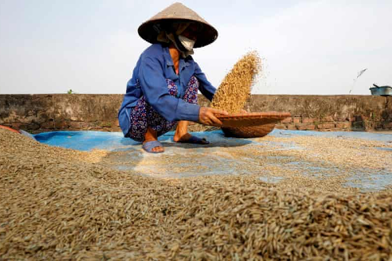 饥饿人口_联合国:刚果(金)粮食安全形势令人震惊,近700万人严重饥饿