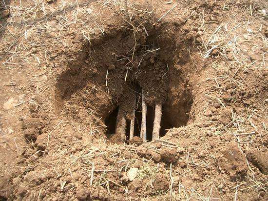 1972年李承乾墓被发现但却被盗了专家猜测是分金定穴之术