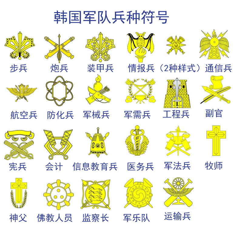 金珠熙准将领口上佩戴的领花是情报兵的兵种符号,想必大家也有兴趣