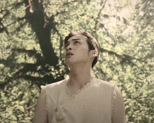 司藤秦放不是白英后代跟司藤关系更深真正的青梅竹马