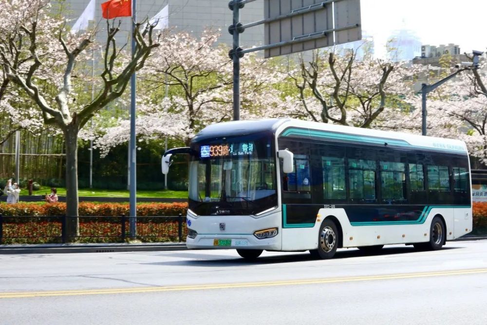 全体市民们!春光明媚,有一个好消息要告诉大家