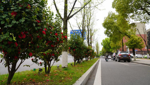 湘潭县 莲城道路多风景路边花儿争斗艳 腾讯新闻