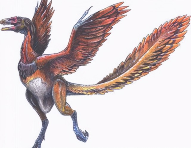 想要在《方舟:生存进化》手游进行超远距离飞行?始祖鸟了解一下