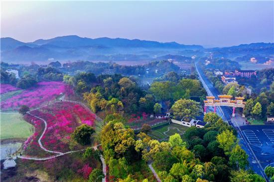 《中国新闻》栏目桃花源旅游区万亩桃林景区位于桃仙岭,分为六大板块