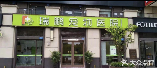 2021重庆宠物医院排行榜榜单,口碑好医院