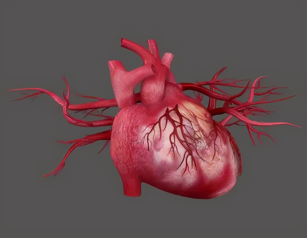 宝宝拉肚子别盲目止泻,出现这种情况,要警惕心肌受损