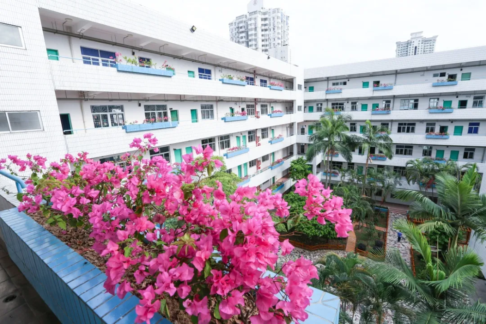 在鹏城技师学院,好听的不止上课铃,还有这些