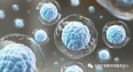 3,自体或脐带血干细胞定向培养同样可对以下疾病做到改善达1,抗衰老