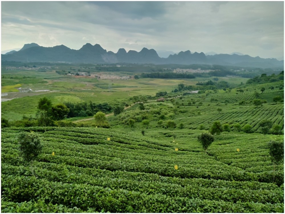 茶趣園懸空茶壺,形象生動