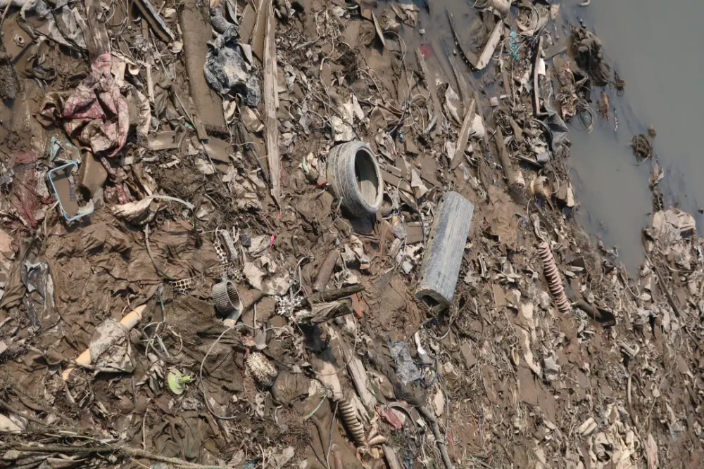 海珠区检察院在调查中发现,位于广州市海珠区环岛路的珠江岸边有近300