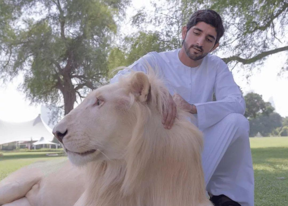 迪拜最帅王子哈曼丹的哥哥真惨:和亲弟弟为女人结仇,33岁早逝