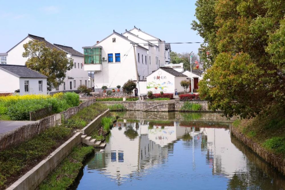 苏州农村有多富这个江南村庄真的超美回归田园去度个假吧