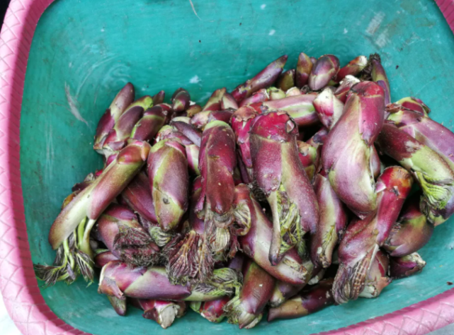 怒江的春天真"好吃"