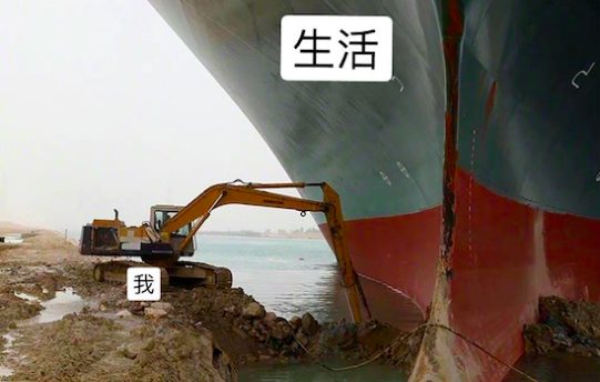 刚刚恢复了而我已看着苏伊士运河挖掘机的推特笑了整整三天