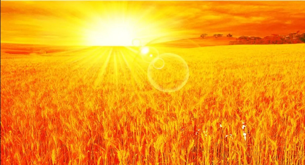 破天荒的信息!高维智慧到来之《宇宙景象》