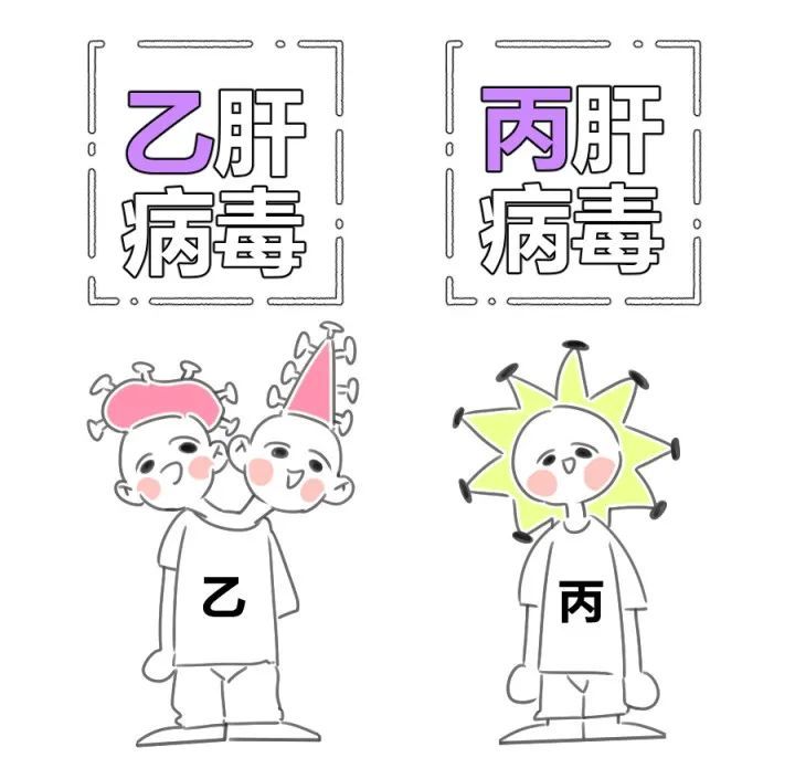 乙肝与丙肝对比,为什么丙肝能治愈,而乙肝