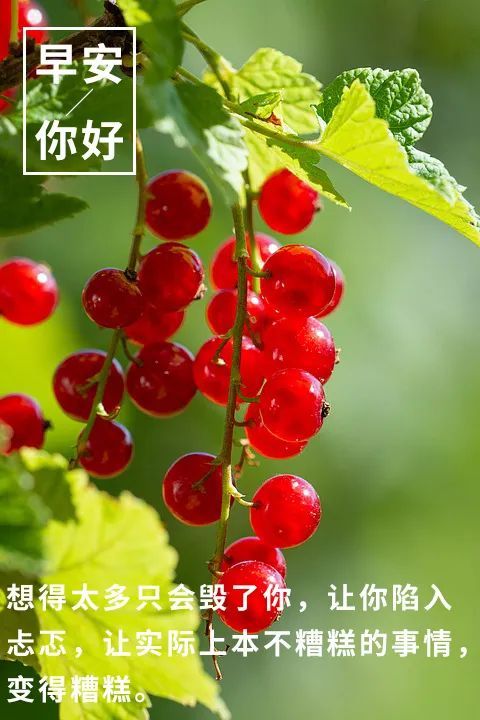 每日早安心语大全 早安心语简短一句话