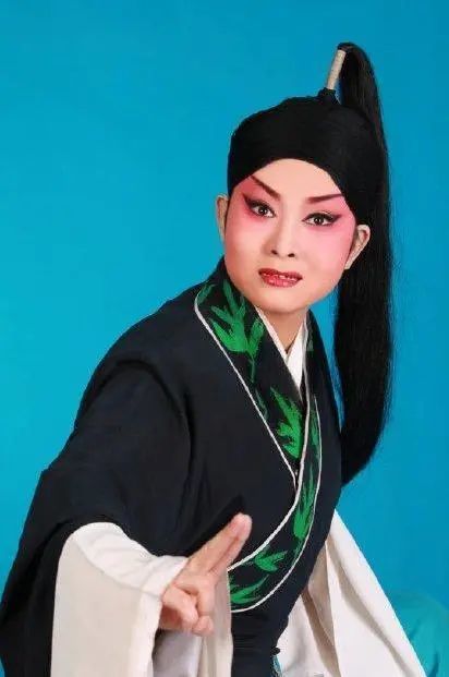 杨升娟入选第30届中国戏剧梅花奖终评(附精彩视频)_腾讯新闻