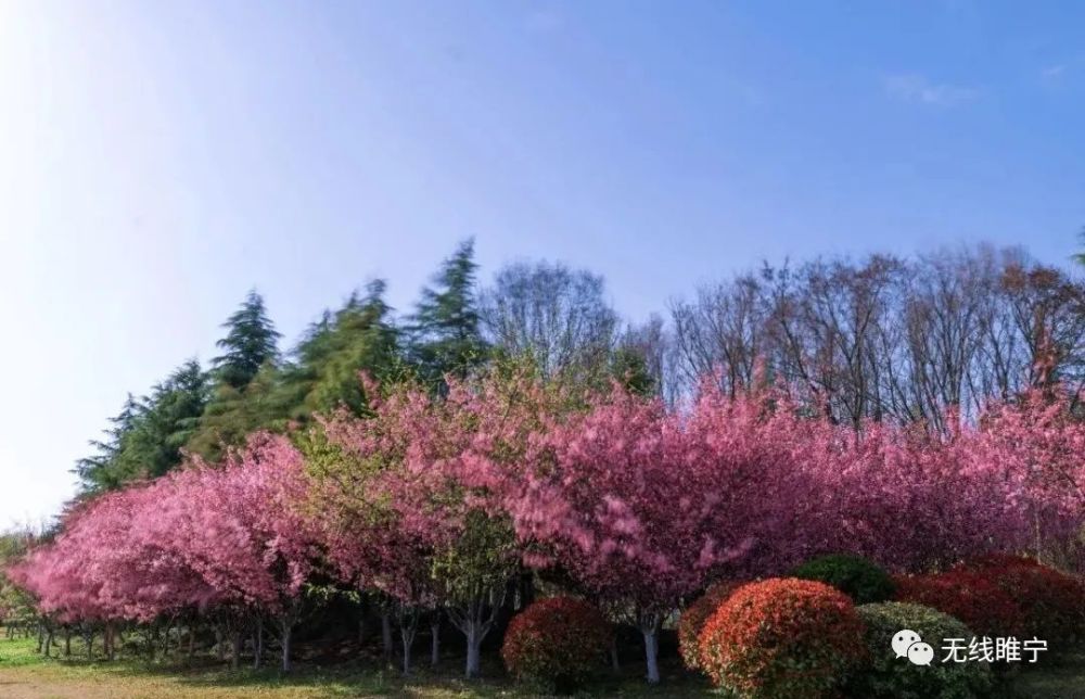 好天气余额不足睢宁天气大反转就在