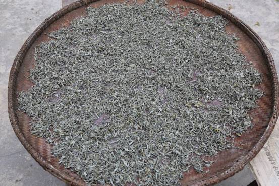 重庆特产传说(480)|神奇的酉阳藤茶,沏泡一星期仍可饮用