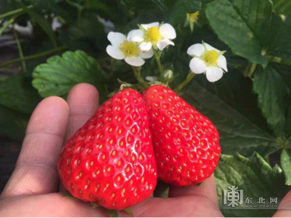 游大庆 总有一种颜色治愈你