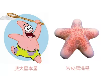 这只海星的学名就叫派大星,科学家们取名都可以这么随意的吗?