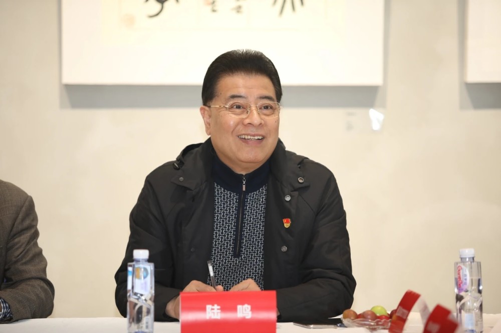 武汉市网络媒体协会系列会议成功举行,30位网络大v参加活动