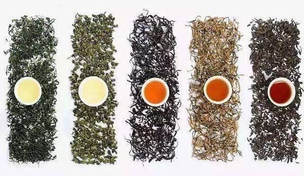 红茶,绿茶,乌龙茶,普洱茶…你的体质适合哪一种?