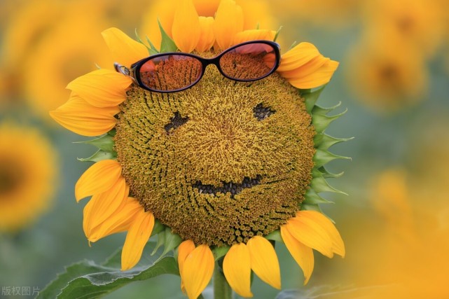 在人际交往中,保持微笑,至少有以下几个方面的作用.