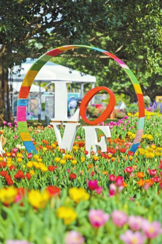 71万余人次观展2021粤港澳大湾区深圳花展让人流连忘返